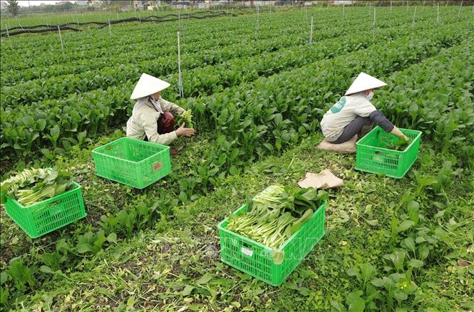 Tỉnh Hà Nam phấn đấu giảm tỷ lệ hộ nghèo xuống dưới 1% vào cuối năm 2025