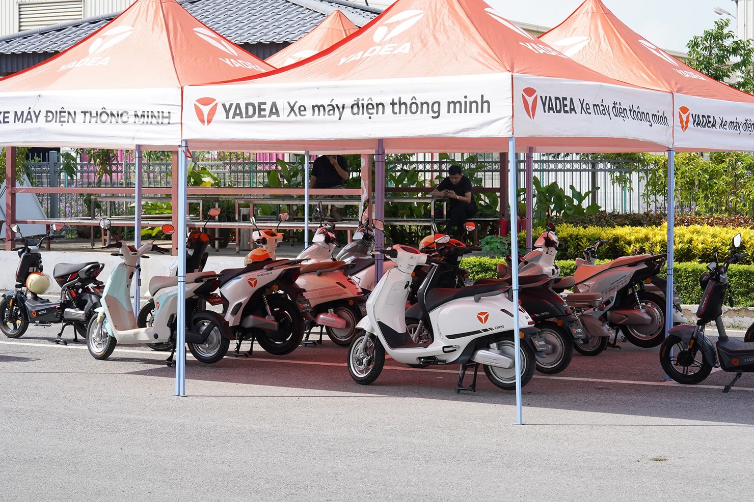 Xe điện hai bánh giá rẻ đang 