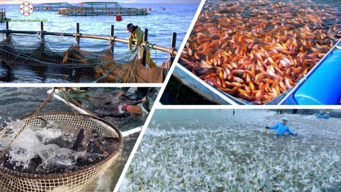 Nâng quy mô gói tín dụng nông, lâm, thuỷ sản lên 185.000 tỷ đồng