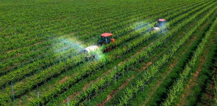 Nông nghiệp Việt Nam trong kỷ nguyên Zero Waste tới Net Zero