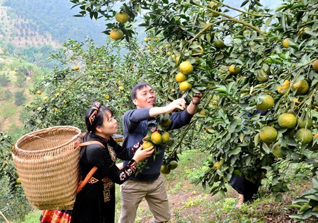 Tuyên Quang: Đồng lòng xây dựng nông thôn mới, hướng tới những miền quê đáng sống