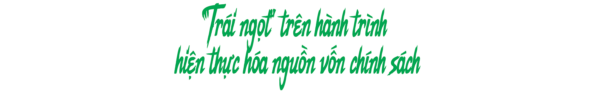EMAGAZINE: Đầu tư có trọng tâm cho đồng bào dân tộc thiểu số và miền núi - Nâng đời sống, giảm khoảng cách - Ảnh 4