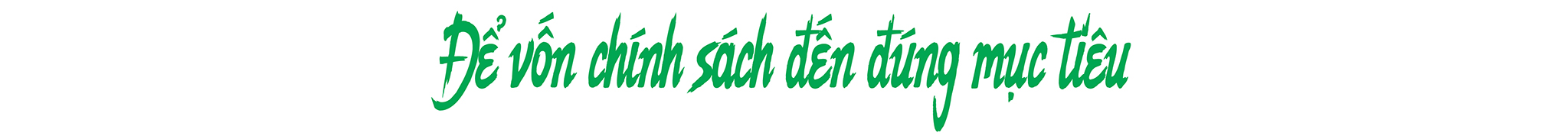 EMAGAZINE: Đầu tư có trọng tâm cho đồng bào dân tộc thiểu số và miền núi - Nâng đời sống, giảm khoảng cách - Ảnh 8