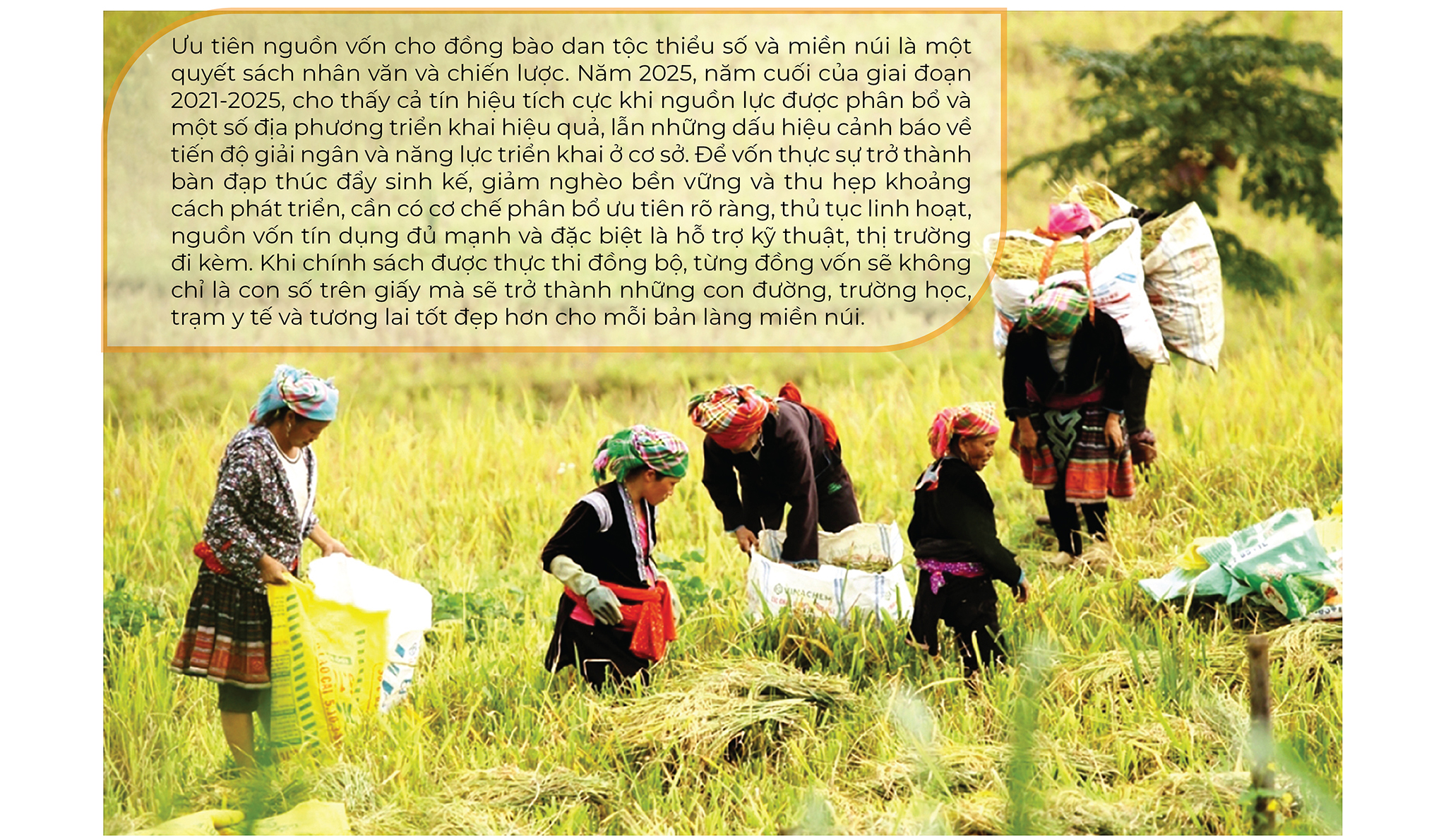 EMAGAZINE: Đầu tư có trọng tâm cho đồng bào dân tộc thiểu số và miền núi - Nâng đời sống, giảm khoảng cách - Ảnh 9