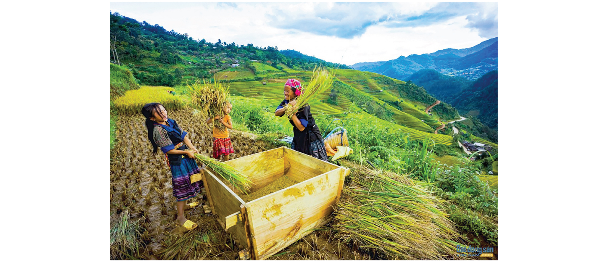 EMAGAZINE: Đầu tư có trọng tâm cho đồng bào dân tộc thiểu số và miền núi - Nâng đời sống, giảm khoảng cách - Ảnh 7