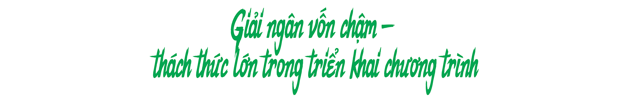 EMAGAZINE: Đầu tư có trọng tâm cho đồng bào dân tộc thiểu số và miền núi - Nâng đời sống, giảm khoảng cách - Ảnh 6