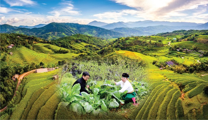 EMAGAZINE: Đầu tư có trọng tâm cho đồng bào dân tộc thiểu số và miền núi - Nâng đời sống, giảm khoảng cách