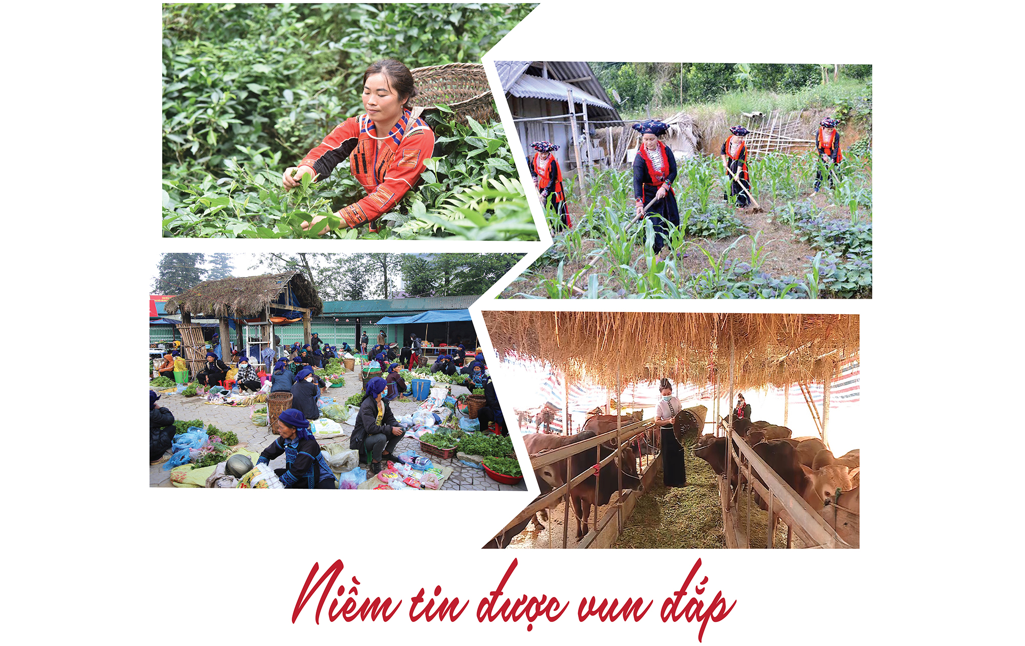 EMAGAZINE: Chính sách dân tộc đi vào cuộc sống - Khi niềm tin tạo động lực phát triển - Ảnh 6