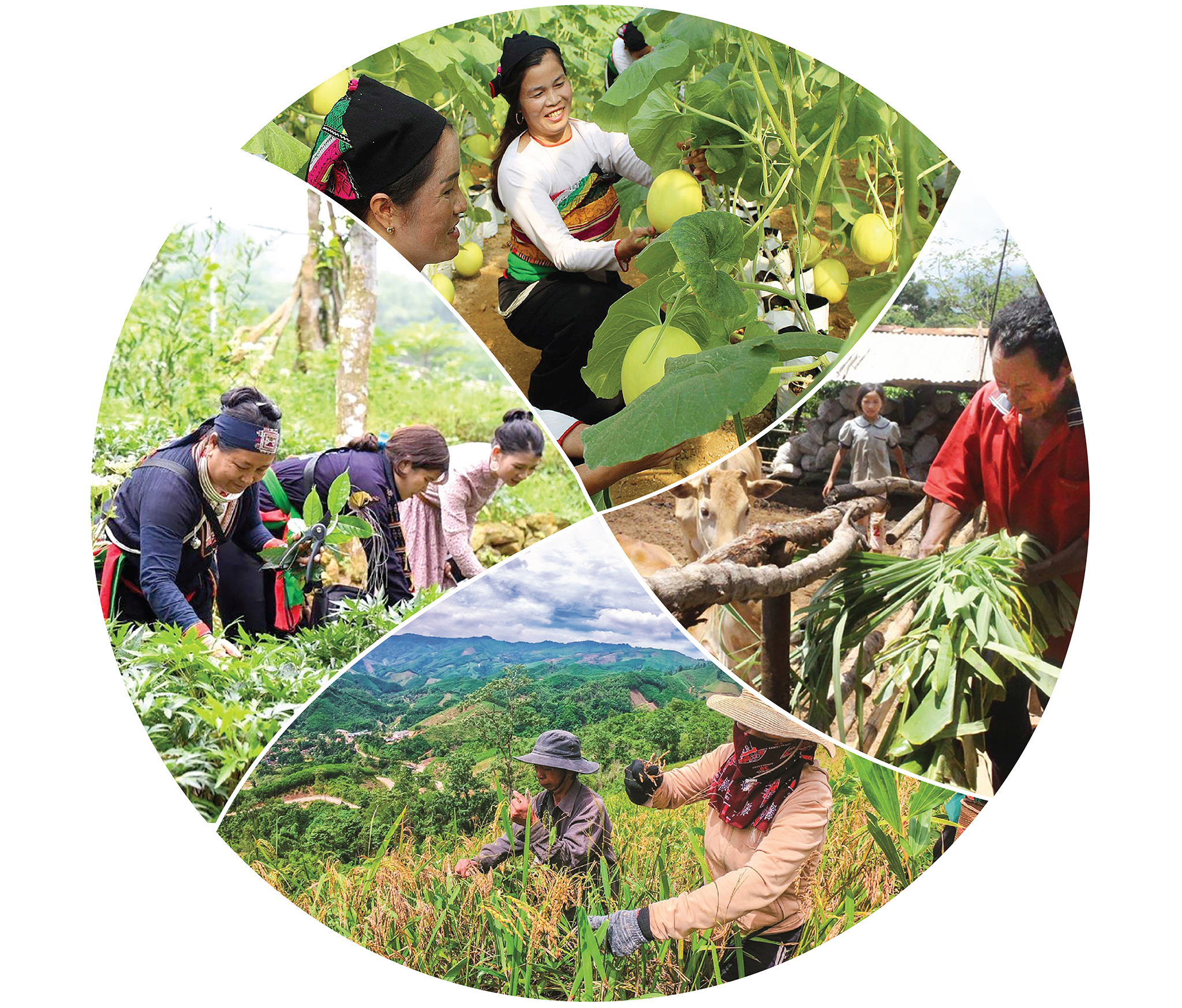 EMAGAZINE: Chương trình mục tiêu quốc gia giảm nghèo bền vững: Định hình dấu ấn, mở lối cho chặng đường mới - Ảnh 7