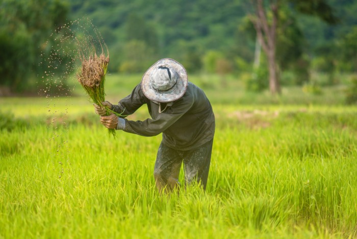 Dự thảo Nghị định quy định chuẩn nghèo đa chiều quốc gia giai đoạn 2026-2030