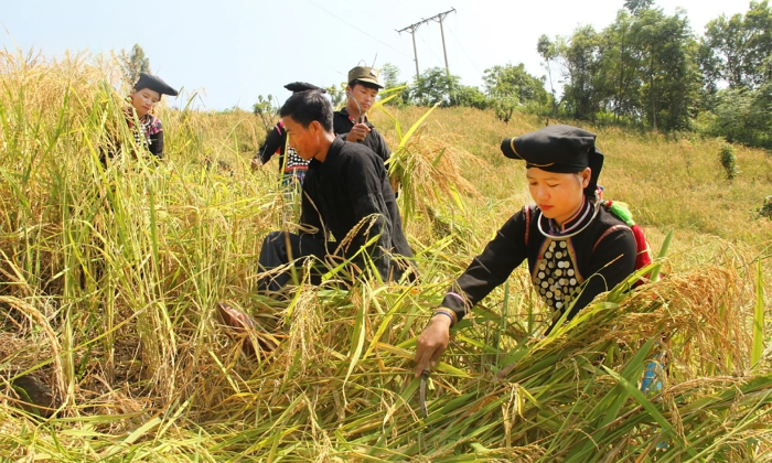 EMAGAZINE: Chính sách dân tộc đi vào cuộc sống - Khi niềm tin tạo động lực phát triển