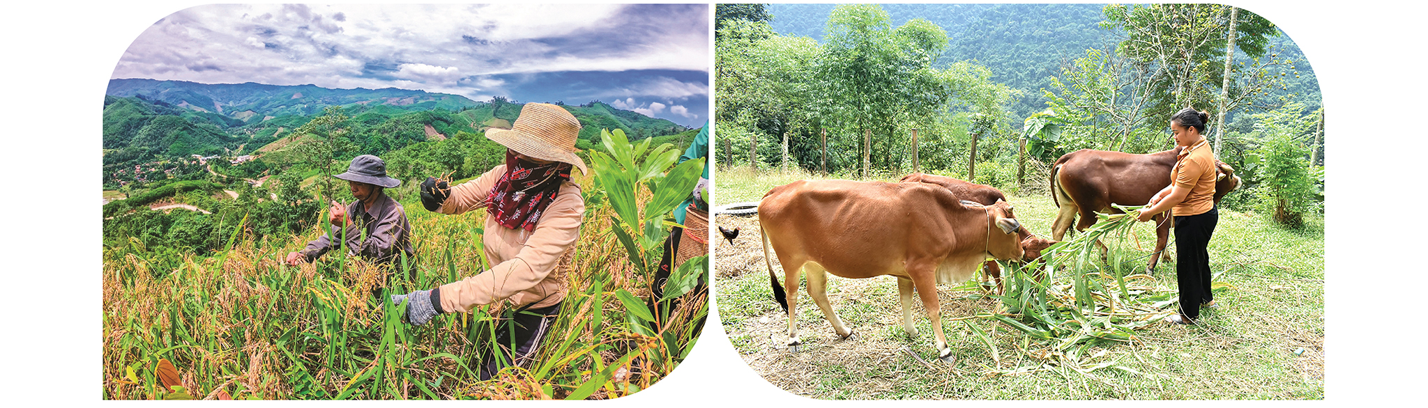 EMAGAZINE: Tự lực tự cường khơi dậy tinh thần chủ động vươn lên thoát nghèo - Ảnh 3