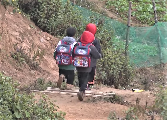 Phát triển nông thôn - Giáo dục, bền vững, đa chức năng