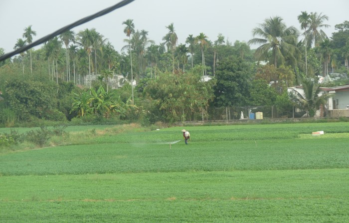 TP. Hồ Chí Minh thí điểm 54 khu đất nông nghiệp làm dự án nhà ở thương mại
