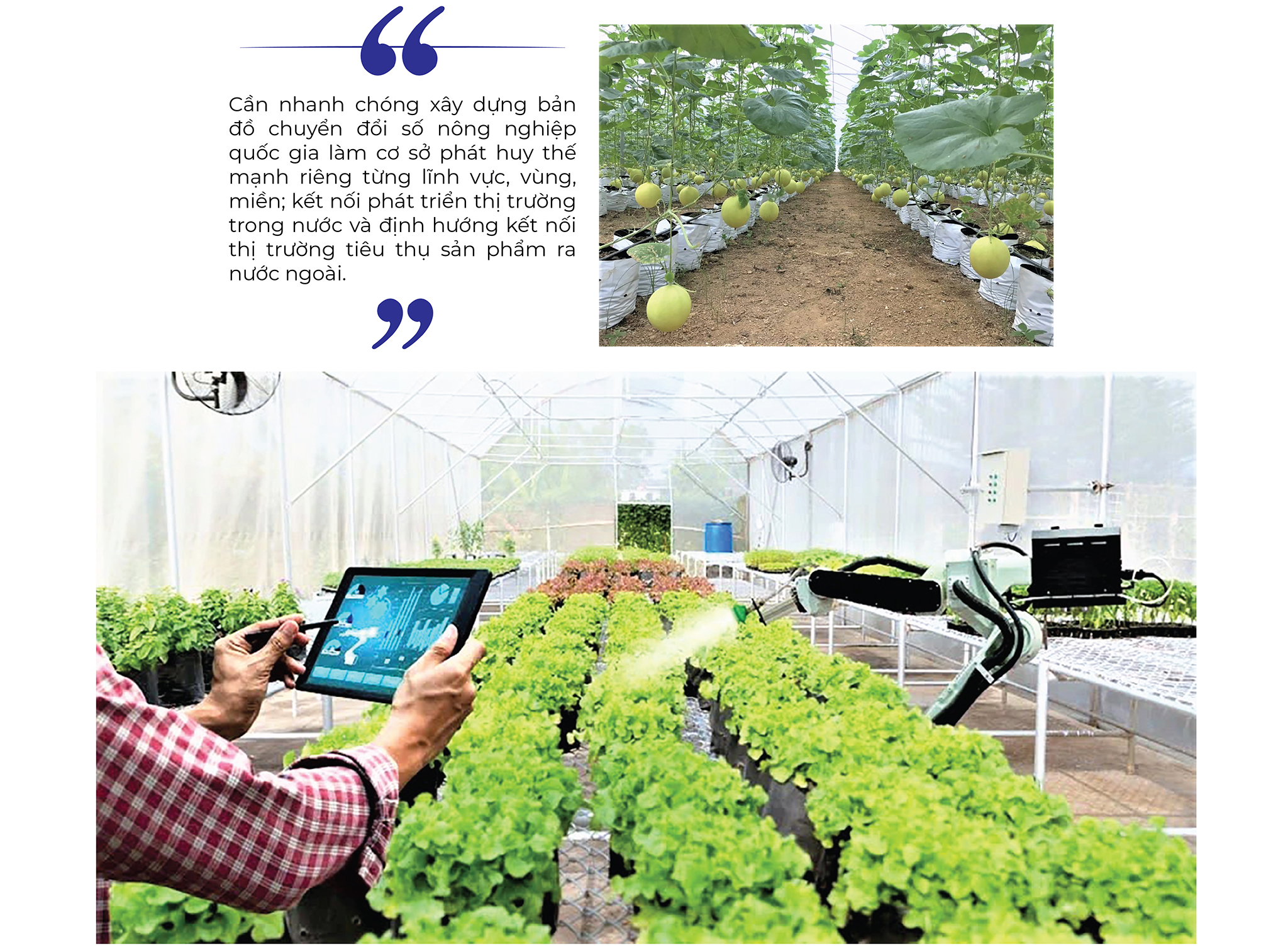 EMAGAZINE: Chuyển đổi số trong nông nghiệp, nông dân, nông thôn là đột phá để nông nghiệp Việt Nam vươn mình - Ảnh 7
