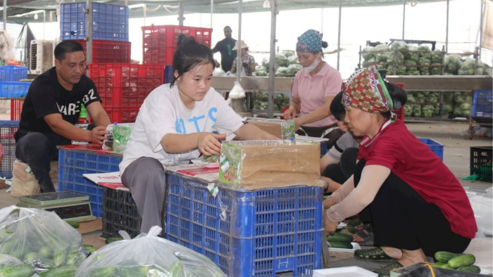 Thủ tục hành chính mới trong lĩnh vực thành lập và hoạt động của hợp tác xã