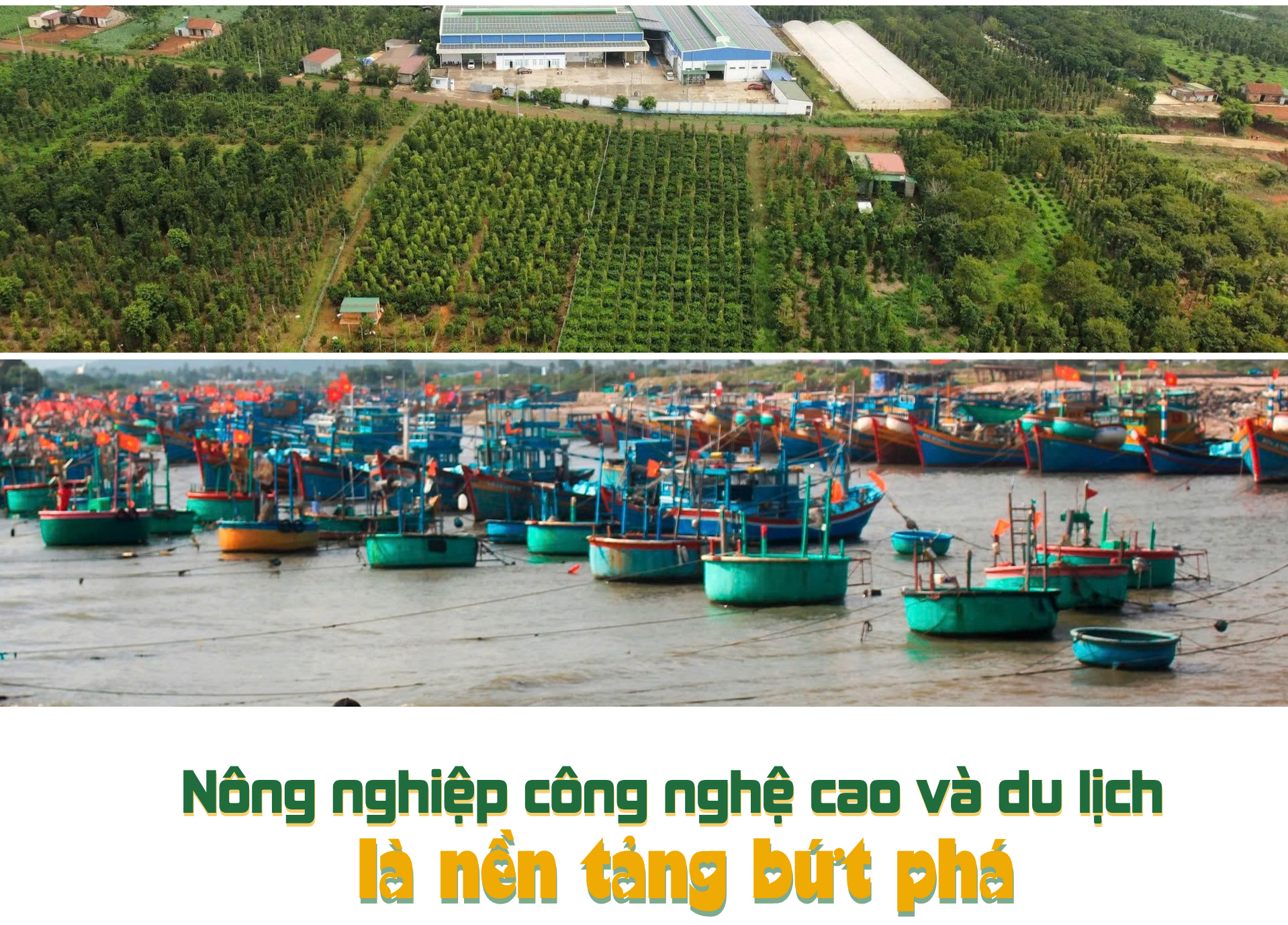 EMAGAZINE: Lâm Đồng: “Bức tranh” nông thôn mới nhiều gam màu tươi sáng  - Ảnh 5