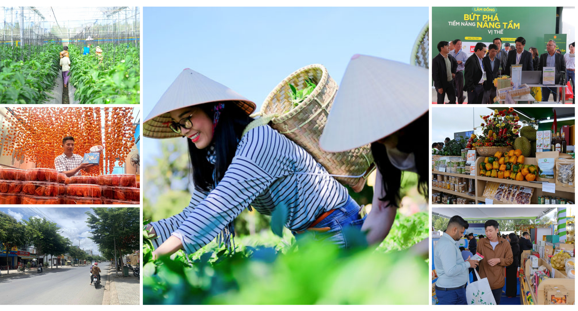 EMAGAZINE: Lâm Đồng: “Bức tranh” nông thôn mới nhiều gam màu tươi sáng  - Ảnh 7