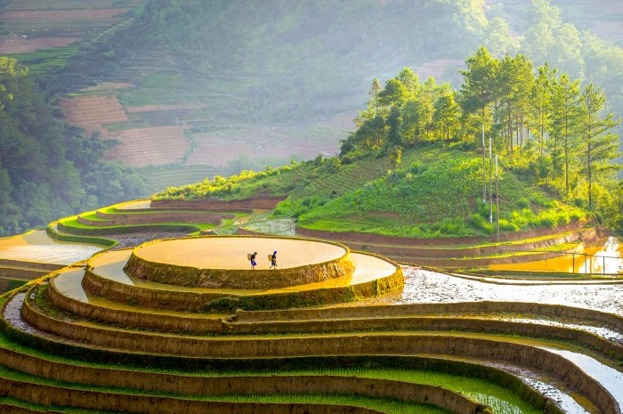 EMAGAZINE: Khi công nghệ là “cần câu số” giúp người nghèo thoát nghèo