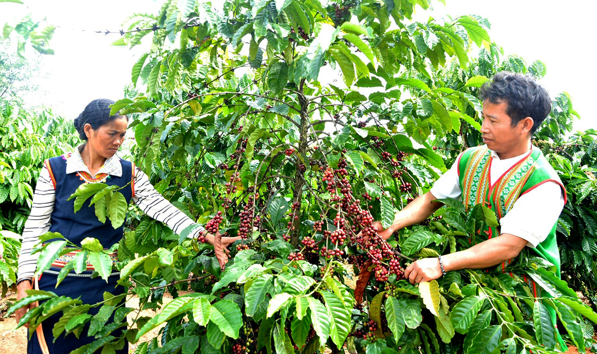 EMAGAZINE: Gương sáng thoát nghèo - Động lực khuyến khích cộng đồng cùng phát triển