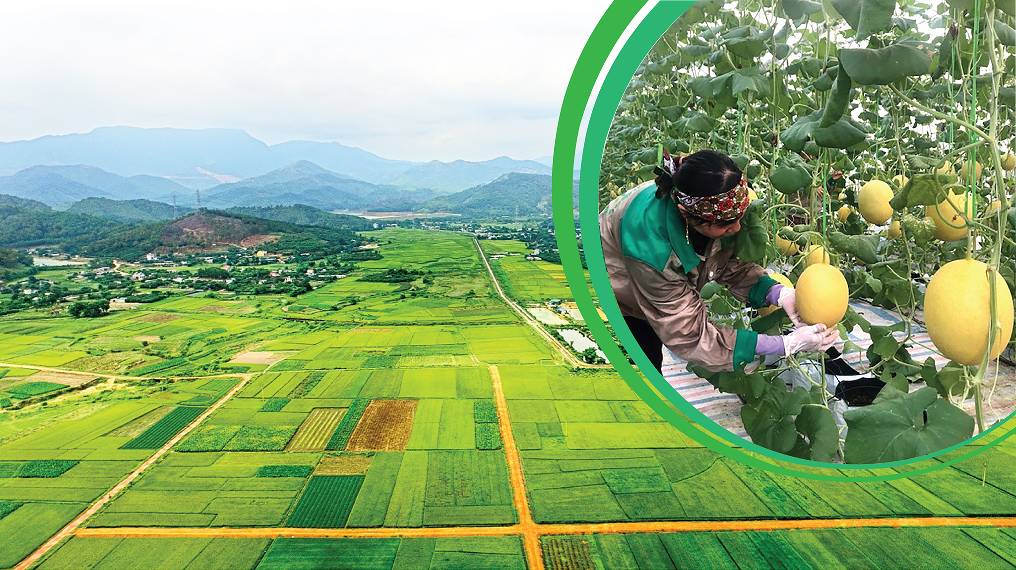 EMAGAZINE: Hướng tới xây dựng nông thôn mới văn minh, hiện đại: Quảng Ninh viết nên một câu chuyện thành công đầy cảm hứng