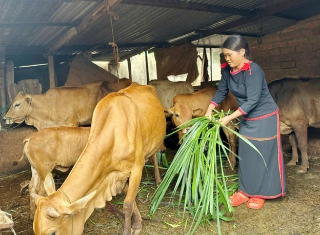 Đắk Lắk phát huy hiệu quả Chương trình giảm nghèo bền vững