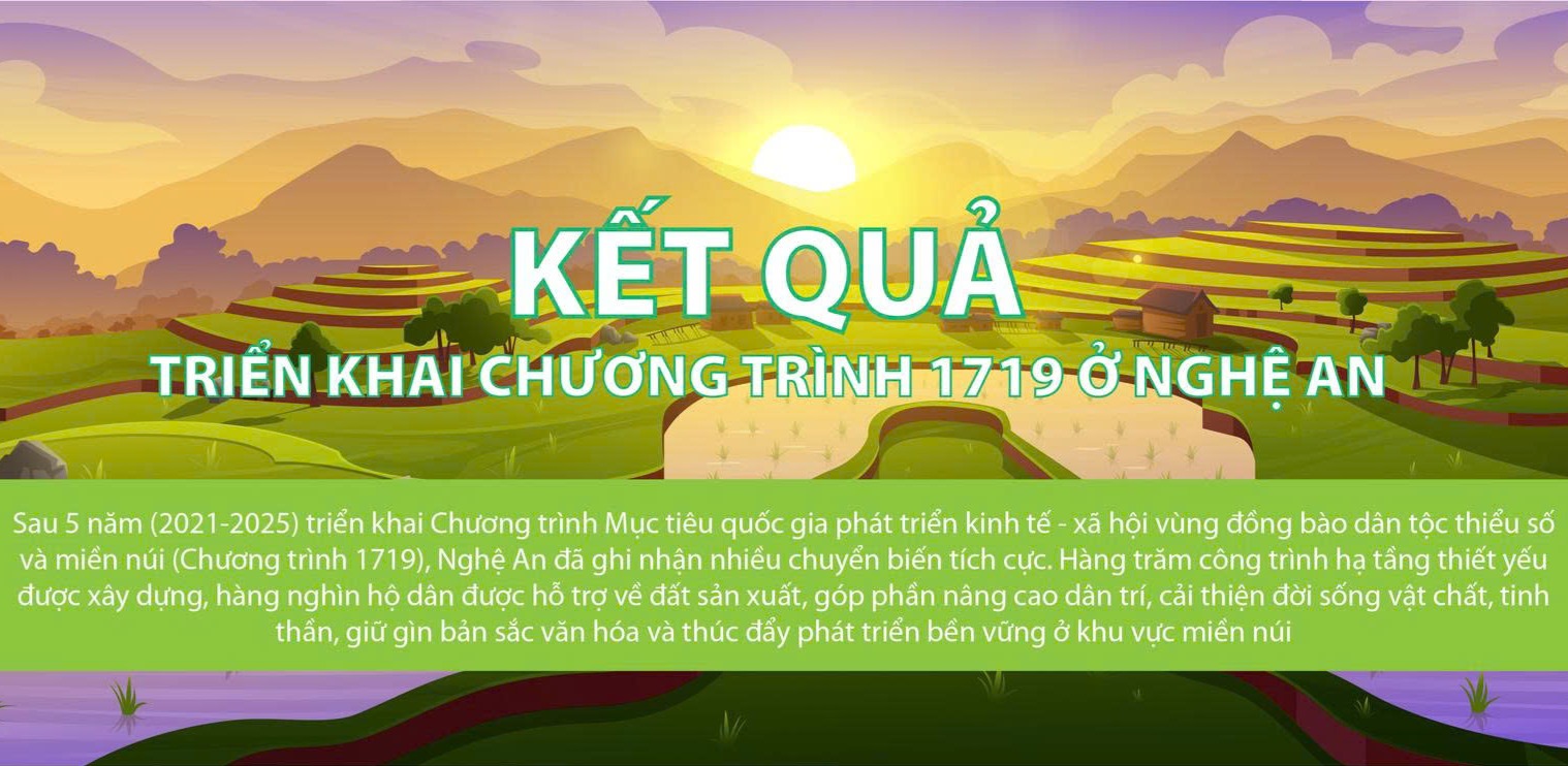 INFOGRAPHIC: Kết quả triển khai Chương trình 1719 ở Nghệ An