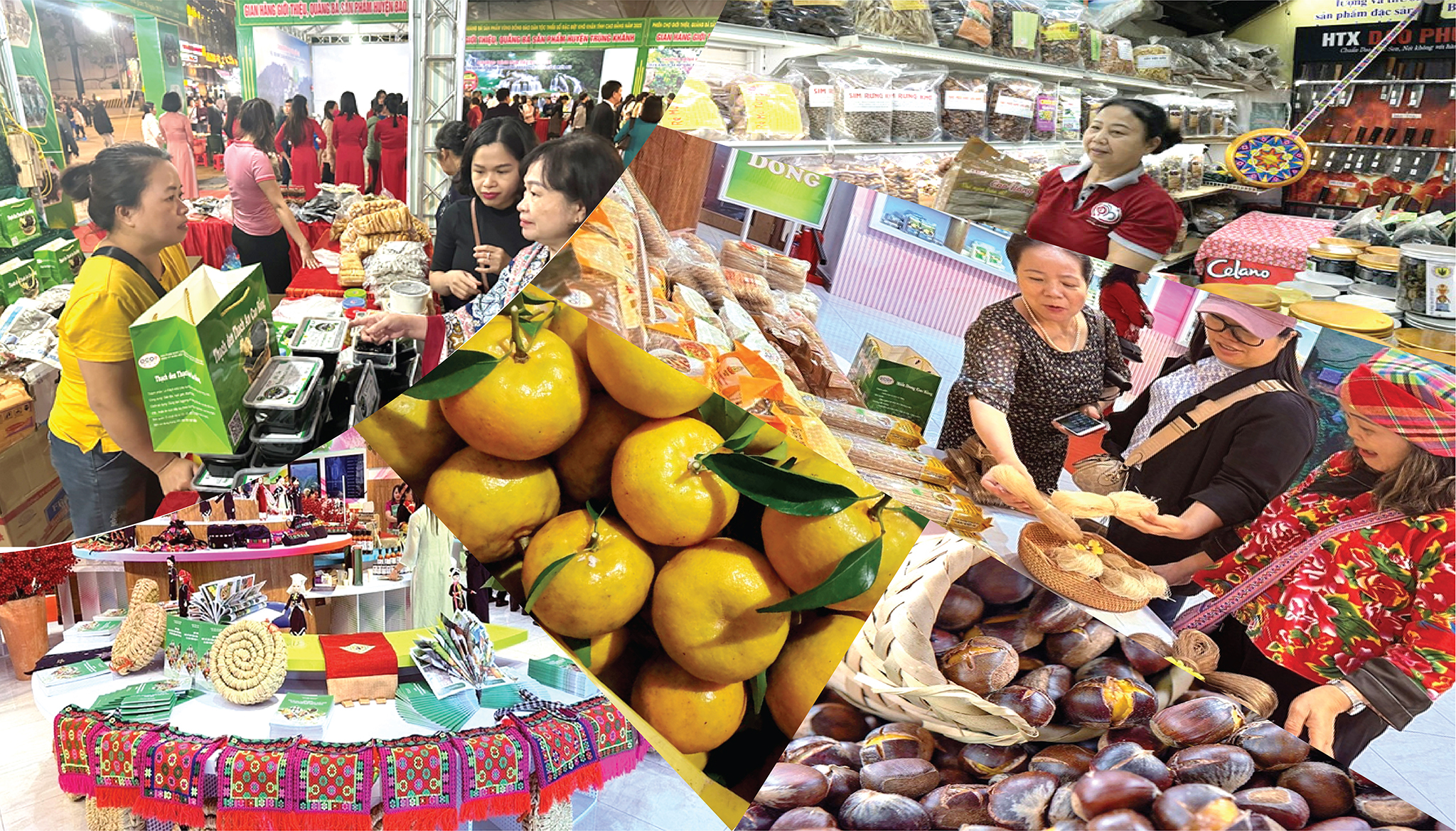 EMAGAZINE: Cao Bằng: Đẩy mạnh xúc tiến và kết nối thị trường tiêu thụ đặc sản nông nghiệp tiêu biểu của địa phương