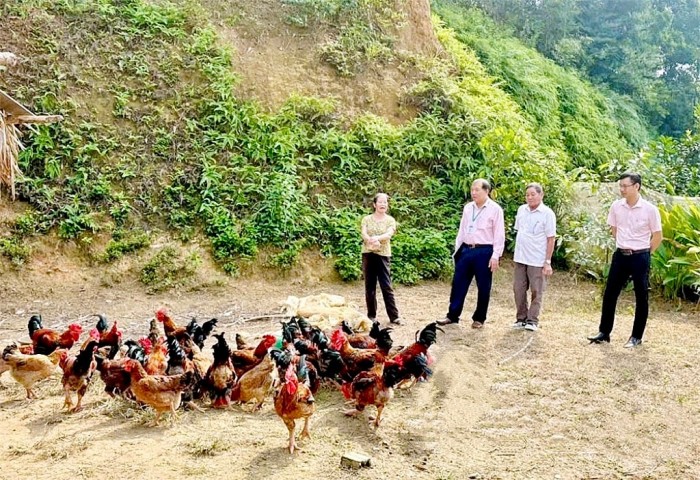 Đột phá chiến lược giảm nghèo bền vững giai đoạn 2026-2030: Từ "cho" sang "tạo"