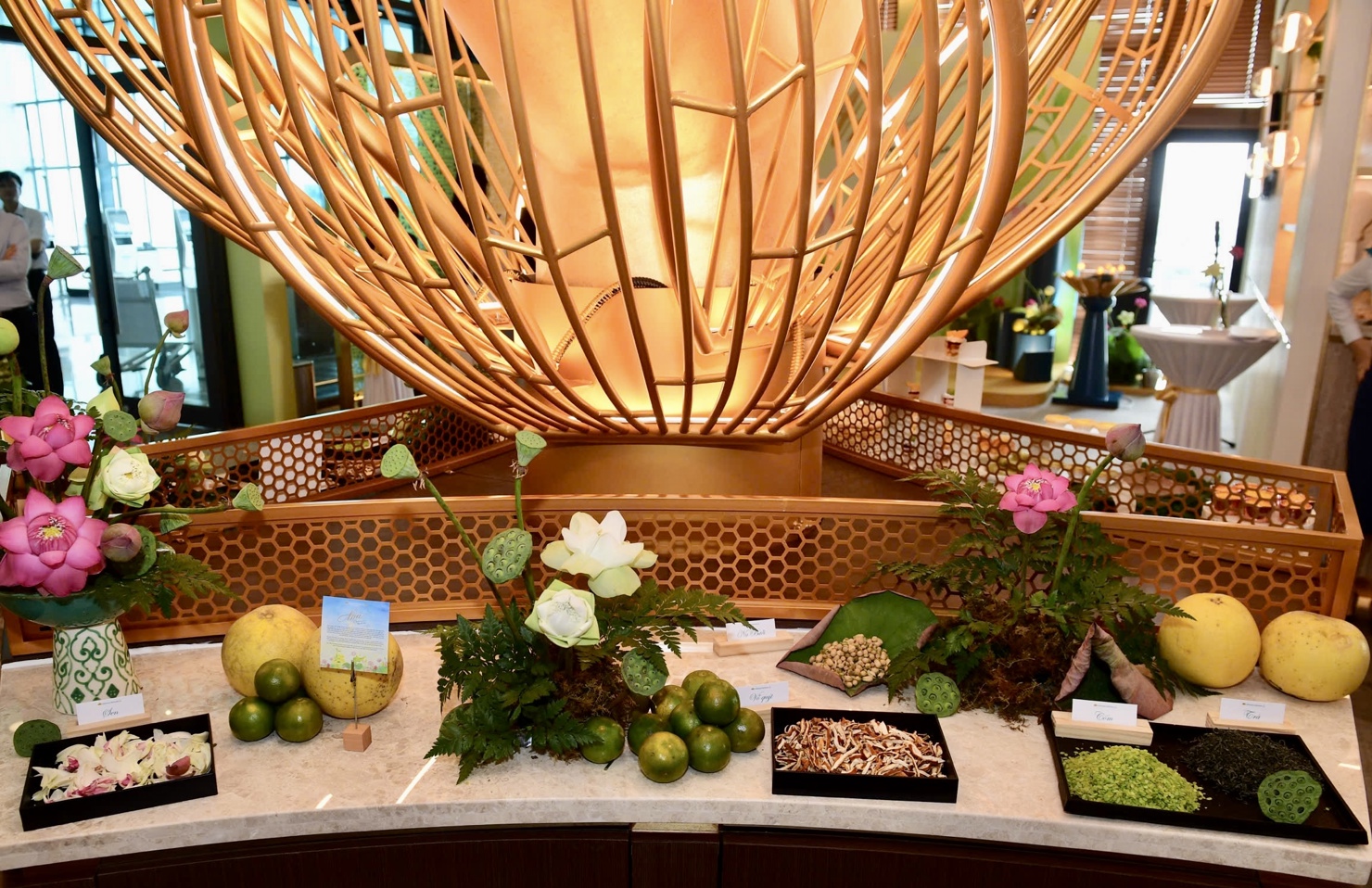 Từng nốt hương của 