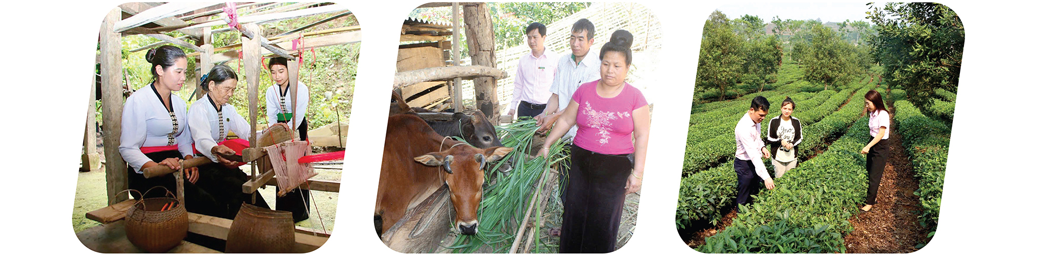 EMAGAZINE: Sơn La - Bừng sáng sắc màu đổi mới trên những bản làng vùng cao - Ảnh 8